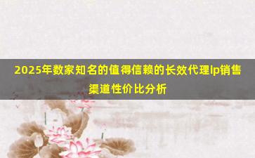 2025年数家知名的值得信赖的长效代理ip销售渠道性价比分析