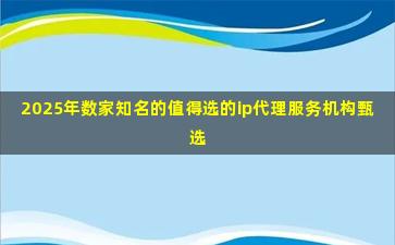 2025年数家知名的值得选的ip代理服务机构甄选