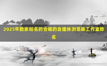 2025年数家知名的合规的自媒体浏览器工作室排名