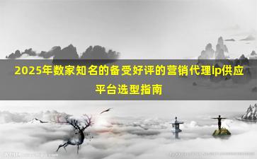 2025年数家知名的备受好评的营销代理ip供应平台选型指南