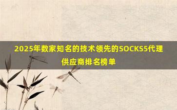 2025年数家知名的技术领先的SOCKS5代理供应商排名榜单