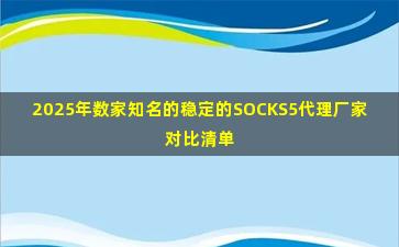 2025年数家知名的稳定的SOCKS5代理厂家对比清单