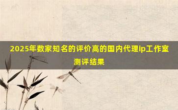 2025年数家知名的评价高的国内代理ip工作室测评结果