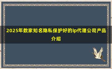 2025年数家知名隐私保护好的ip代理公司产品介绍