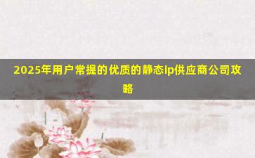 2025年用户常提的优质的静态ip供应商公司攻略