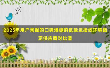 2025年用户常提的口碑爆棚的低延迟指纹环境指定供应商对比清单