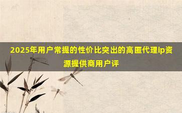 2025年用户常提的性价比突出的高匿代理ip资源提供商用户评价
