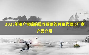 2025年用户常提的操作简便的月租代理ip厂商产品介绍