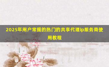 2025年用户常提的热门的共享代理ip服务商使用教程