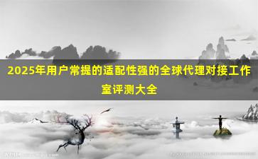 2025年用户常提的适配性强的全球代理对接工作室评测大全