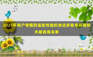 2025年用户常提的适配性强的测试多账号环境技术服务商名单