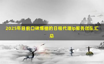 2025年目前口碑爆棚的日租代理ip服务团队汇总