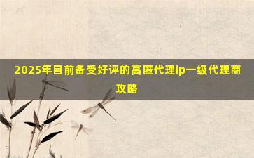 2025年目前备受好评的高匿代理ip一级代理商攻略