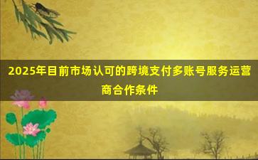 2025年目前市场认可的跨境支付多账号服务运营商合作条件