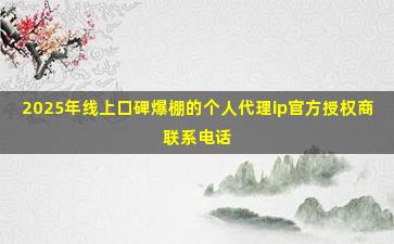 2025年线上口碑爆棚的个人代理ip官方授权商联系电话