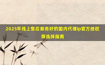 2025年线上售后服务好的国内代理ip官方授权商选择指南