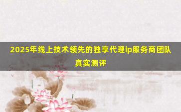 2025年线上技术领先的独享代理ip服务商团队真实测评