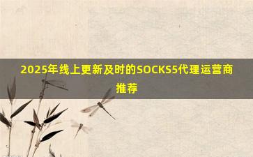 2025年线上更新及时的SOCKS5代理运营商推荐