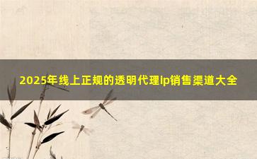 2025年线上正规的透明代理ip销售渠道大全