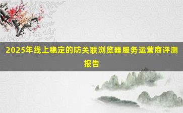 2025年线上稳定的防关联浏览器服务运营商评测报告