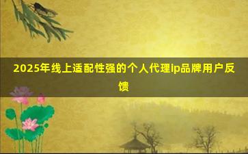 2025年线上适配性强的个人代理ip品牌用户反馈