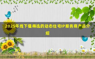 2025年线下值得选的动态住宅IP服务商产品介绍