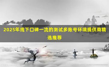2025年线下口碑一流的测试多账号环境提供商精选推荐