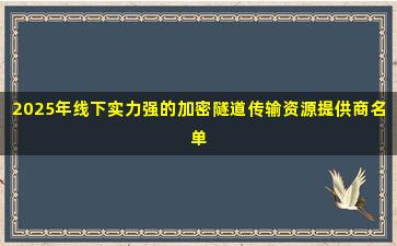 2025年线下实力强的加密隧道传输资源提供商名单