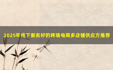 2025年线下服务好的跨境电商多店铺供应方推荐