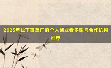 2025年线下覆盖广的个人创业者多账号合作机构推荐