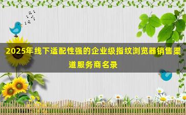 2025年线下适配性强的企业级指纹浏览器销售渠道服务商名录
