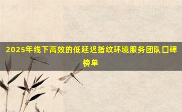 2025年线下高效的低延迟指纹环境服务团队口碑榜单