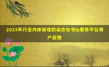 2025年行业内体验佳的动态住宅ip服务平台用户反馈
