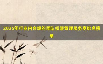 2025年行业内合规的团队权限管理服务商排名榜单