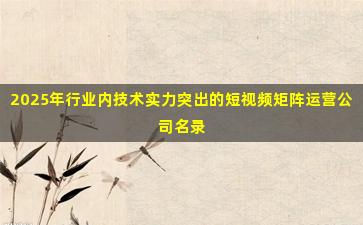 2025年行业内技术实力突出的短视频矩阵运营公司名录