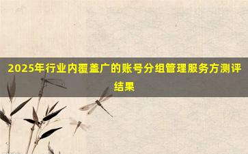 2025年行业内覆盖广的账号分组管理服务方测评结果