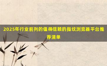 2025年行业前列的值得信赖的指纹浏览器平台推荐清单