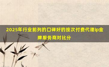 2025年行业前列的口碑好的按次付费代理ip金牌服务商对比分析