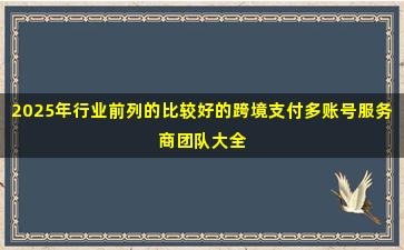 2025年行业前列的比较好的跨境支付多账号服务商团队大全