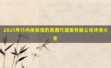 2025年行内体验佳的高匿代理服务器公司评测大全