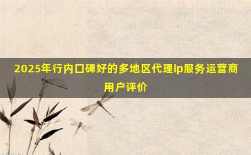 2025年行内口碑好的多地区代理ip服务运营商用户评价