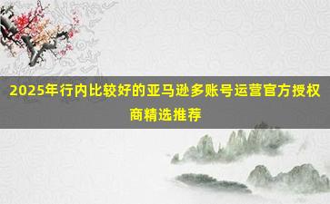 2025年行内比较好的亚马逊多账号运营官方授权商精选推荐