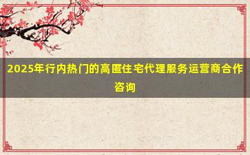 2025年行内热门的高匿住宅代理服务运营商合作咨询