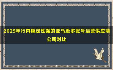 2025年行内稳定性强的亚马逊多账号运营供应商公司对比