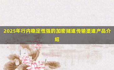 2025年行内稳定性强的加密隧道传输渠道产品介绍