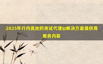 2025年行内高效的测试代理ip解决方案提供商服务内容