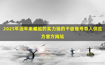 2025年近年来崛起的实力强的千级账号导入供应方官方网站