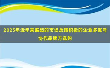 2025年近年来崛起的市场反馈积极的企业多账号协作品牌方选购攻略