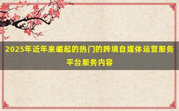 2025年近年来崛起的热门的跨境自媒体运营服务平台服务内容