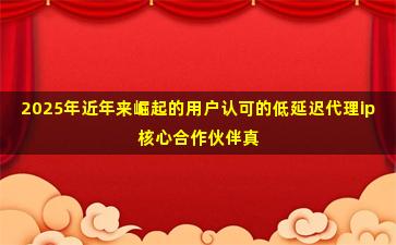 2025年近年来崛起的用户认可的低延迟代理ip核心合作伙伴真实测评